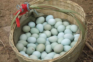 绿壳土鸡蛋营养价值