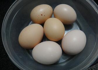 土鸡蛋怎么煮最有营养