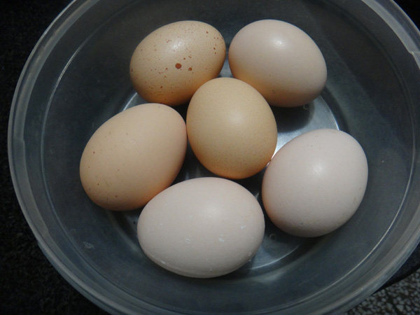 土鸡蛋怎么煮更有营养.jpg