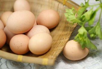 吃土鸡蛋有什么好处？