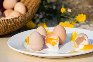 土鸡蛋怎么吃最有营养