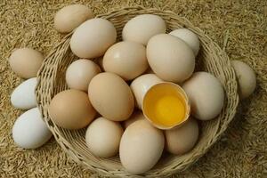 土鸡蛋价格多少钱？