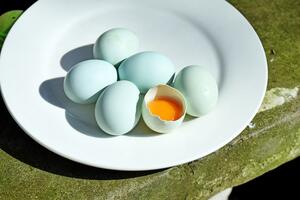 绿壳土鸡蛋的营养价值