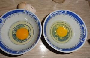 土鸡蛋和普通鸡蛋的鉴别方法
