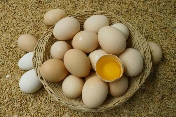 土鸡蛋价格多少钱一斤.jpg